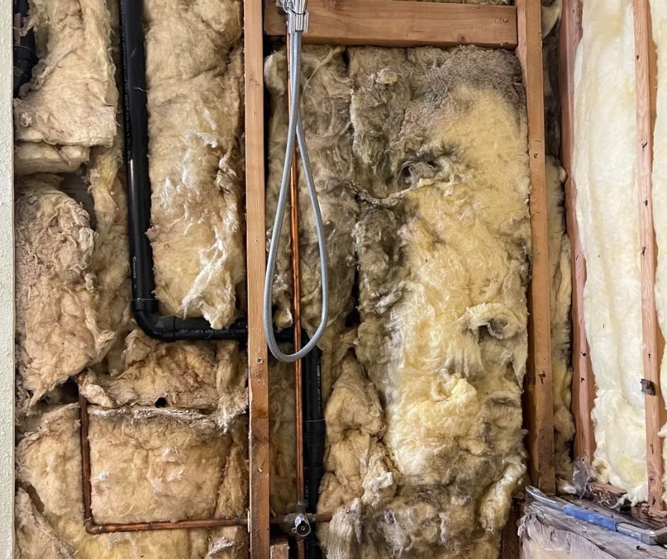 Exposed wall with plumbing and insulation.